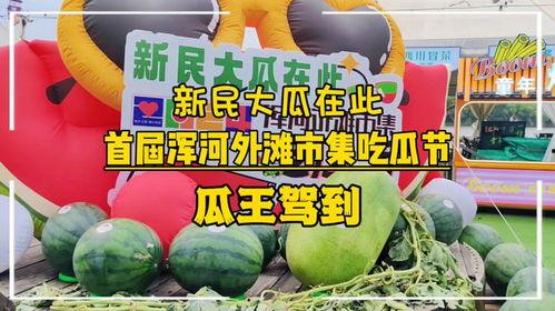 每日吃瓜大赛入口汇聚地