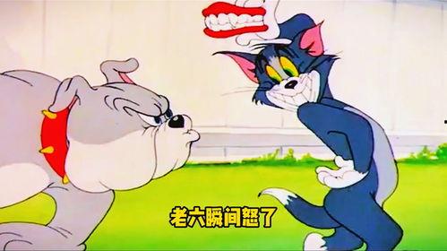 囊地鼠搞笑,萌宠界的喜剧之王